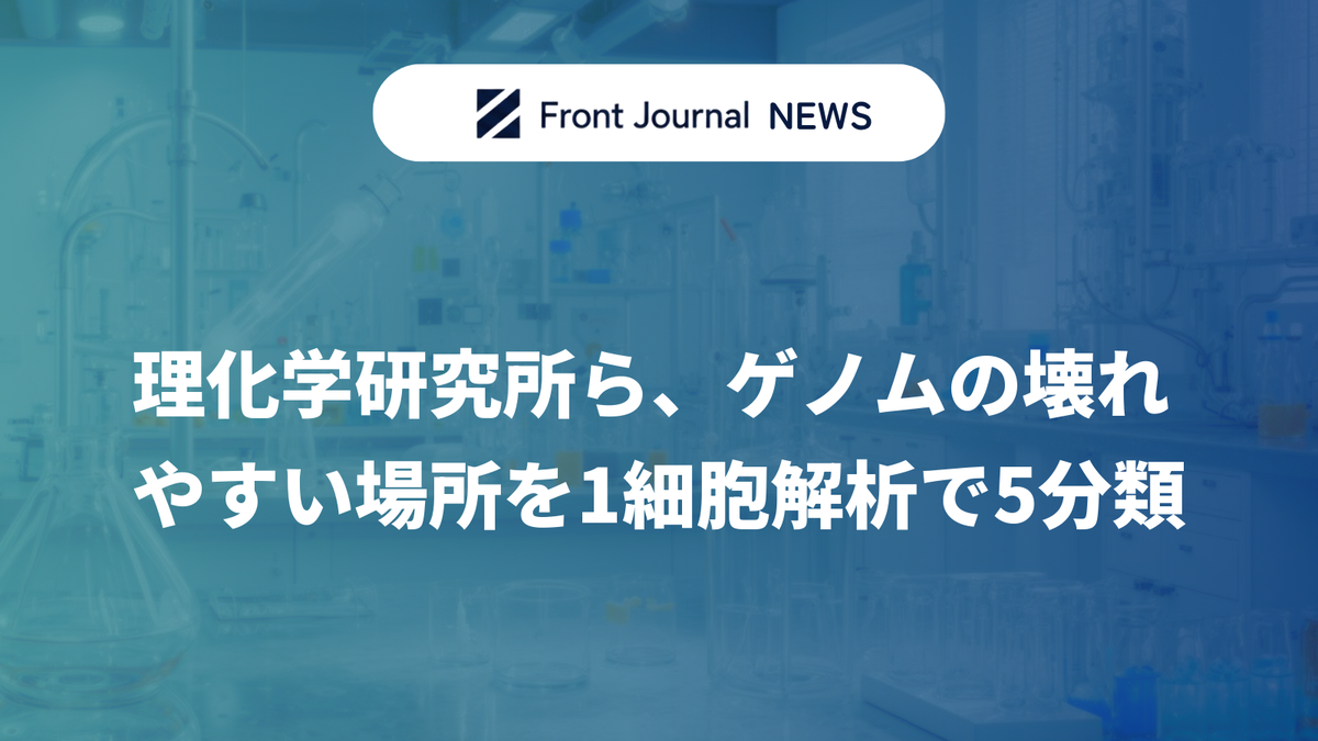 理化学研究所ら、ゲノムの壊れやすい場所を1細胞解析で5分類