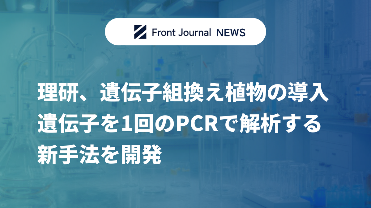 理研、遺伝子組換え植物の導入遺伝子を1回のPCRで解析する新手法を開発