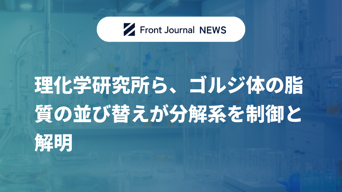 理化学研究所ら、ゴルジ体の脂質の並び替えが分解系を制御と解明