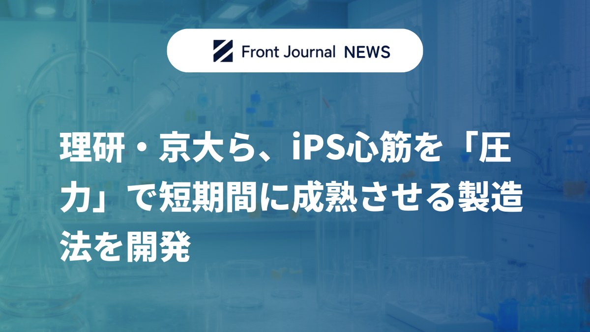 理研・京大ら、iPS心筋を「圧力」で短期間に成熟させる製造法を開発