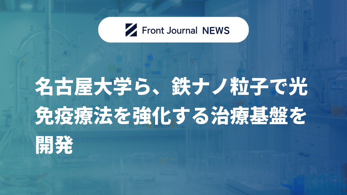 名古屋大学ら、鉄ナノ粒子で光免疫療法を強化する治療基盤を開発