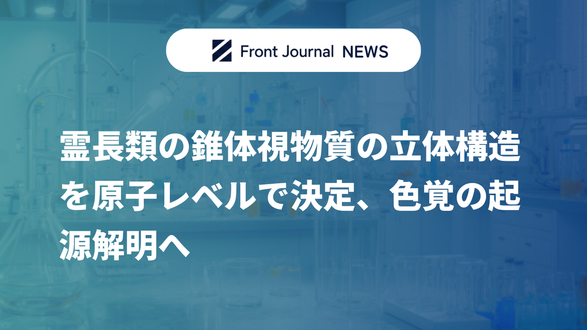 霊長類の錐体視物質の立体構造を原子レベルで決定、色覚の起源解明へ