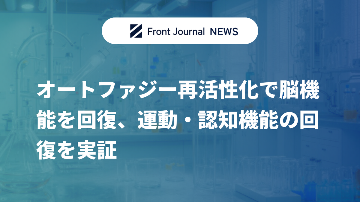 オートファジー再活性化で脳機能を回復、運動・認知機能の回復を実証