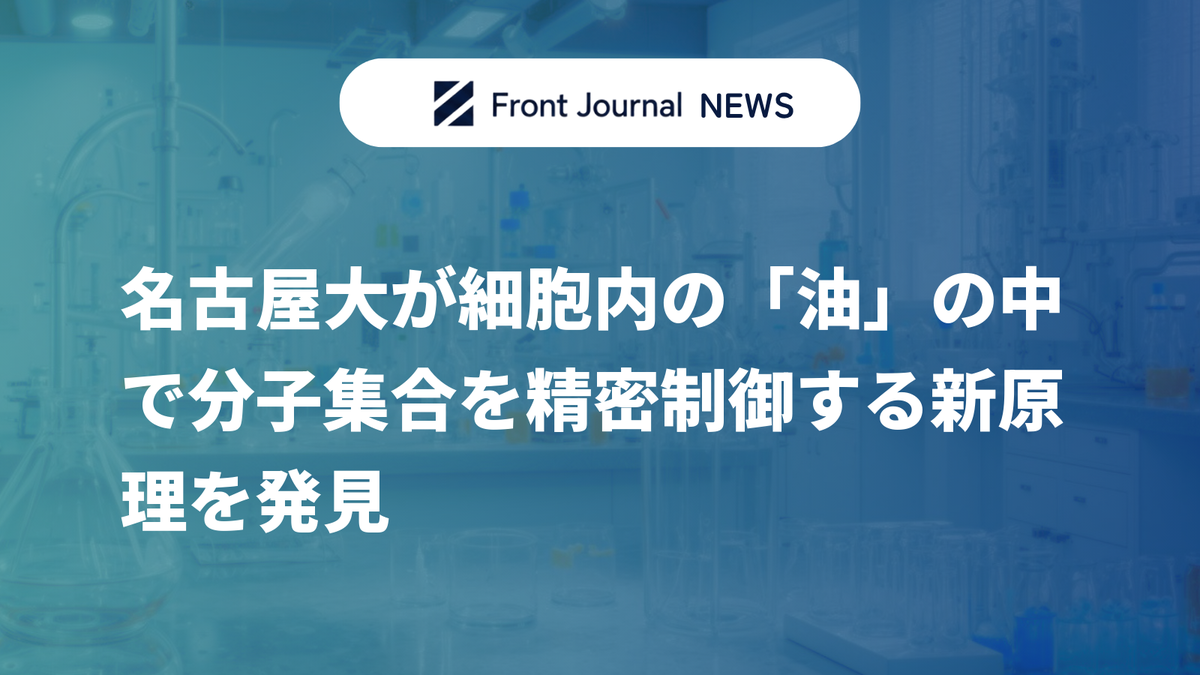 名古屋大が細胞内の「油」の中で分子集合を精密制御する新原理を発見