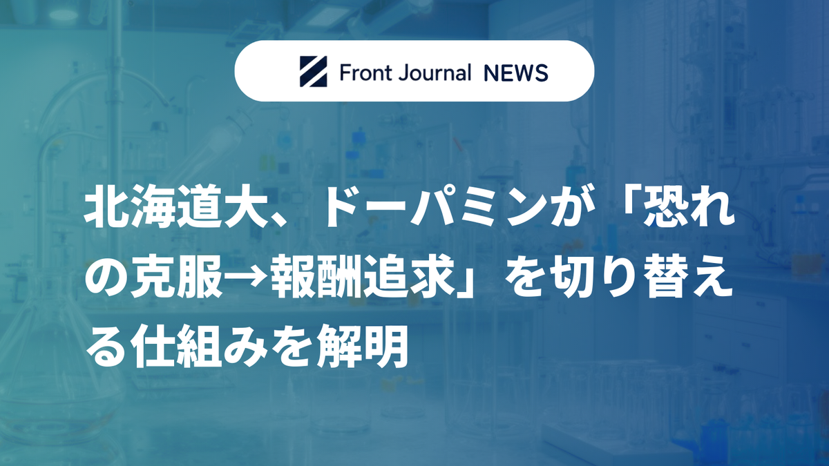北海道大、ドーパミンが「恐れの克服→報酬追求」を切り替える仕組みを解明
