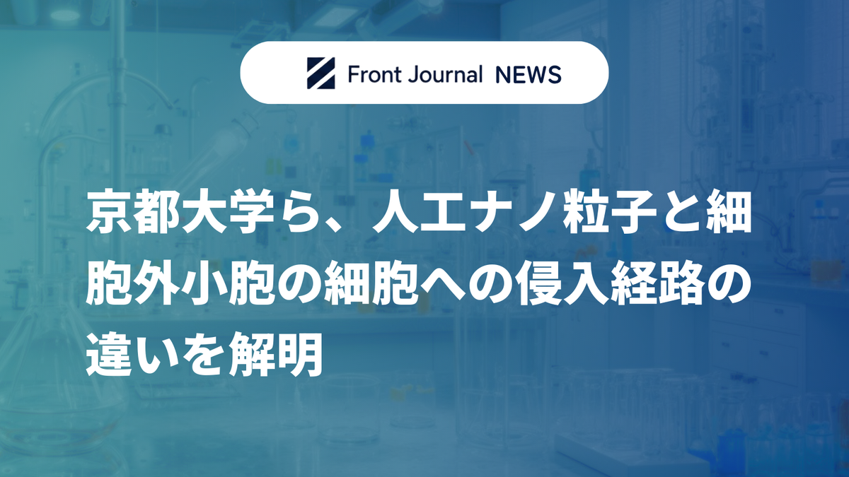 京都大学ら、人工ナノ粒子と細胞外小胞の細胞への侵入経路の違いを解明