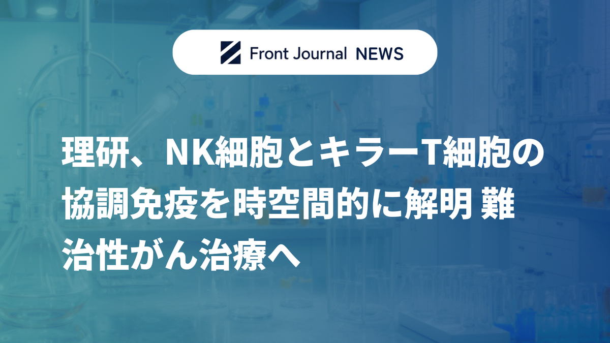 理研、NK細胞とキラーT細胞の協調免疫を時空間的に解明 難治性がん治療へ