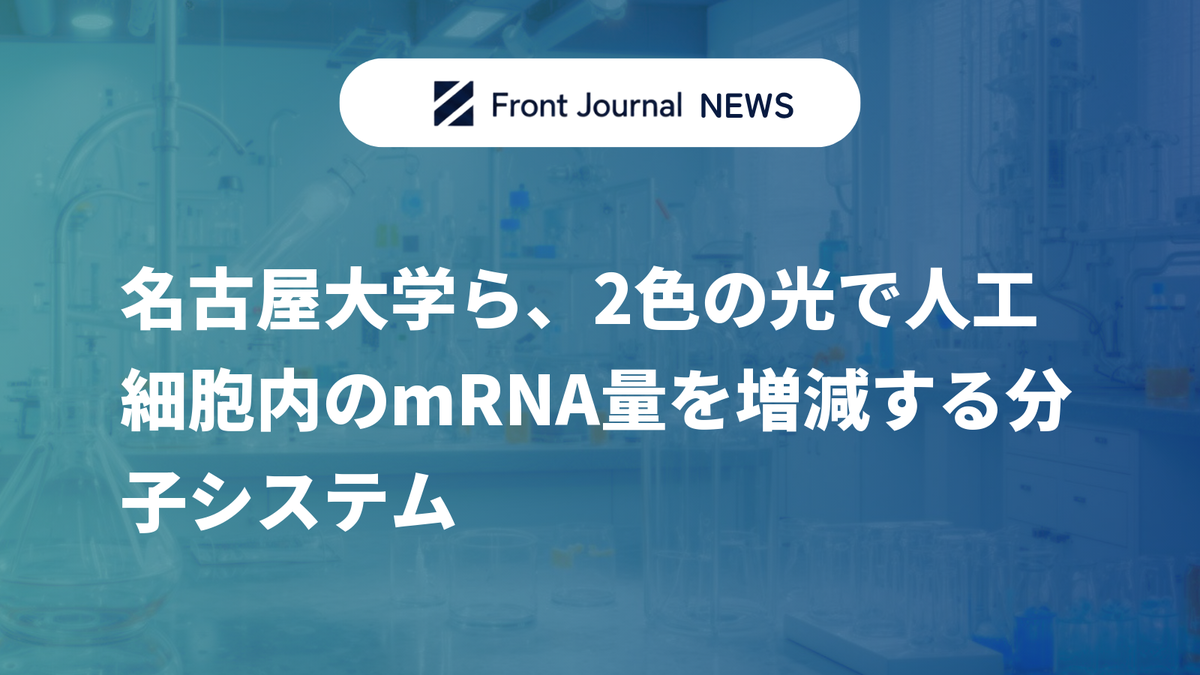名古屋大学ら、2色の光で人工細胞内のmRNA量を増減する分子システム