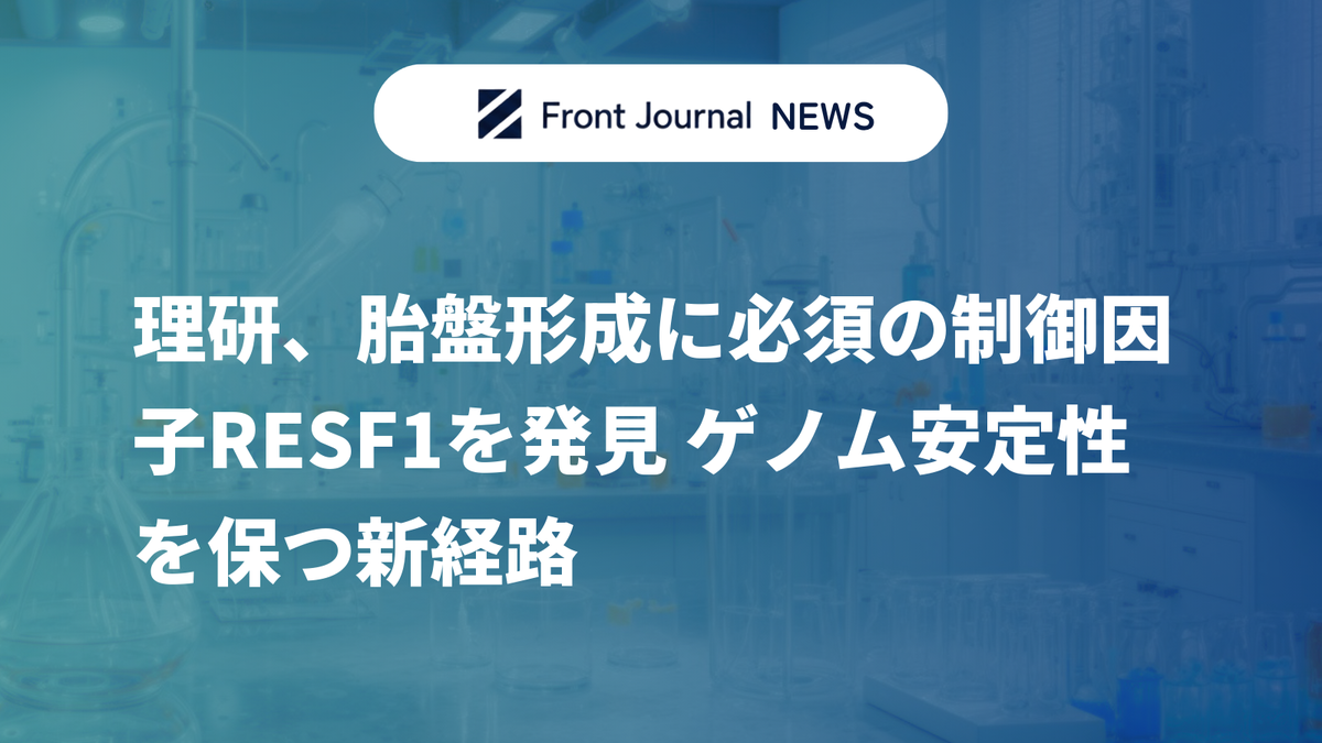理研、胎盤形成に必須の制御因子RESF1を発見 ゲノム安定性を保つ新経路