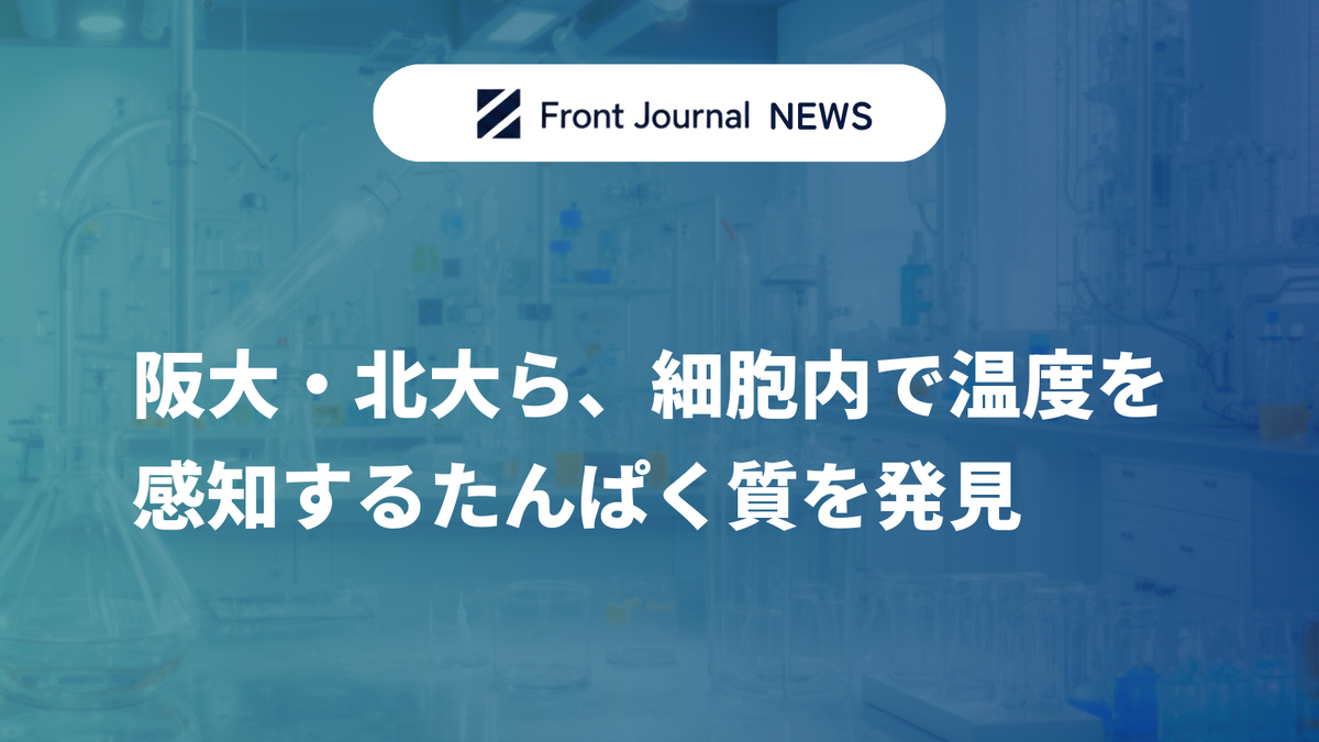 阪大・北大ら、細胞内で温度を感知するたんぱく質を発見