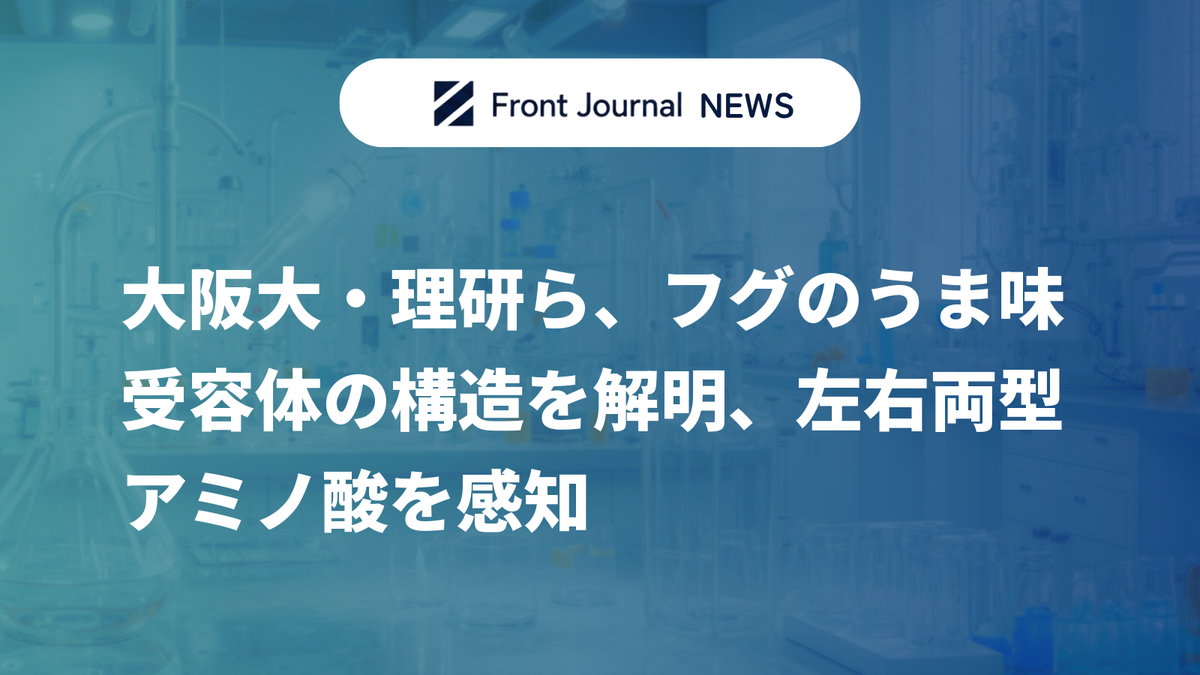 大阪大・理研ら、フグのうま味受容体の構造を解明、左右両型アミノ酸を感知