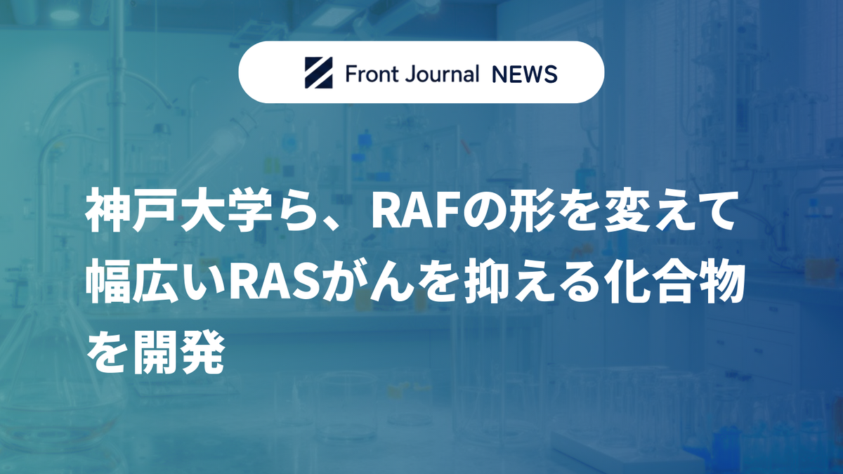 神戸大学ら、RAFの形を変えて幅広いRASがんを抑える化合物を開発