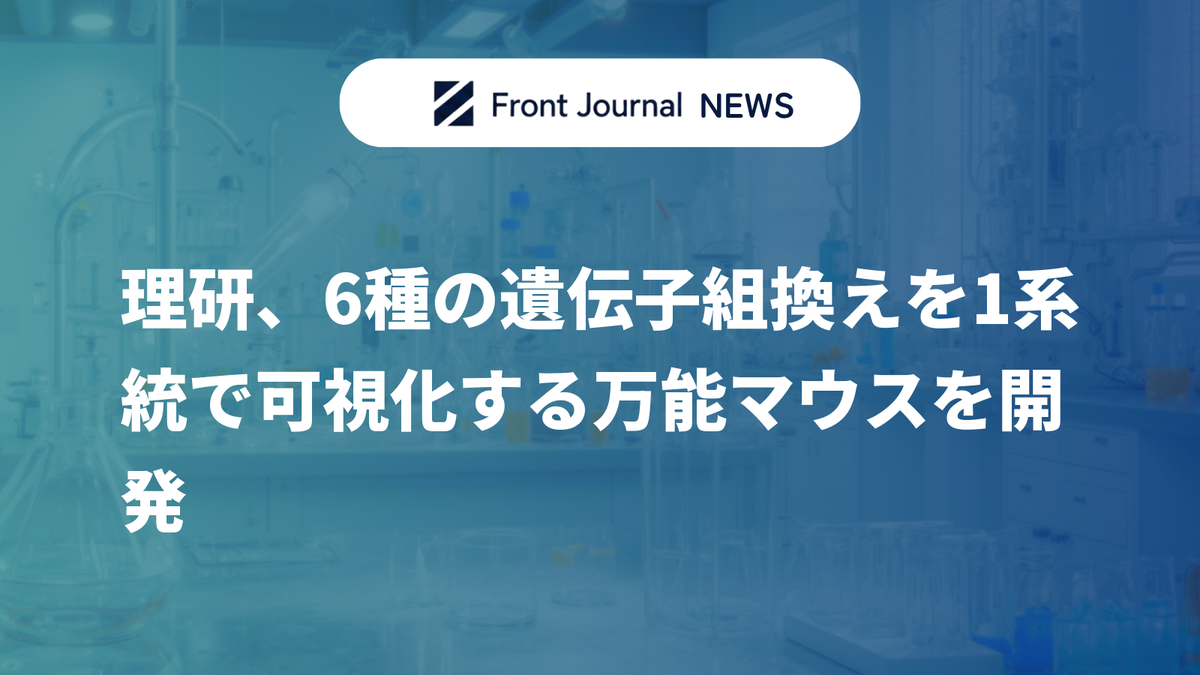 理研、6種の遺伝子組換えを1系統で可視化する万能マウスを開発
