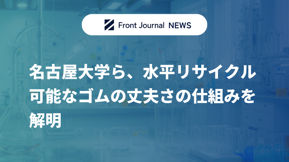 名古屋大学ら、水平リサイクル可能なゴムの丈夫さの仕組みを解明