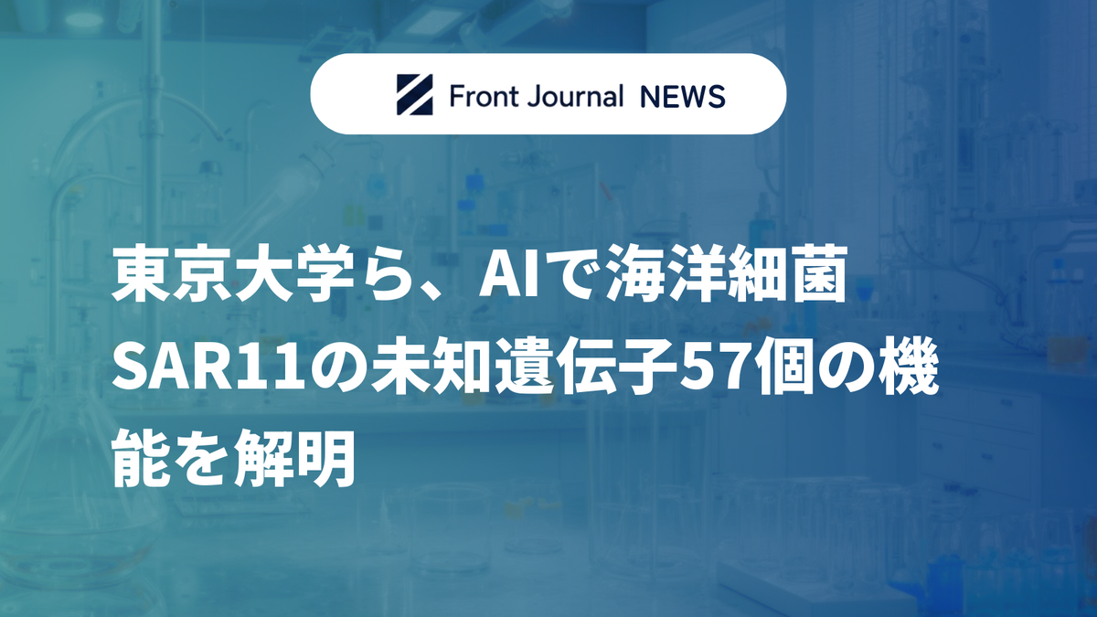 東京大学ら、AIで海洋細菌SAR11の未知遺伝子57個の機能を解明