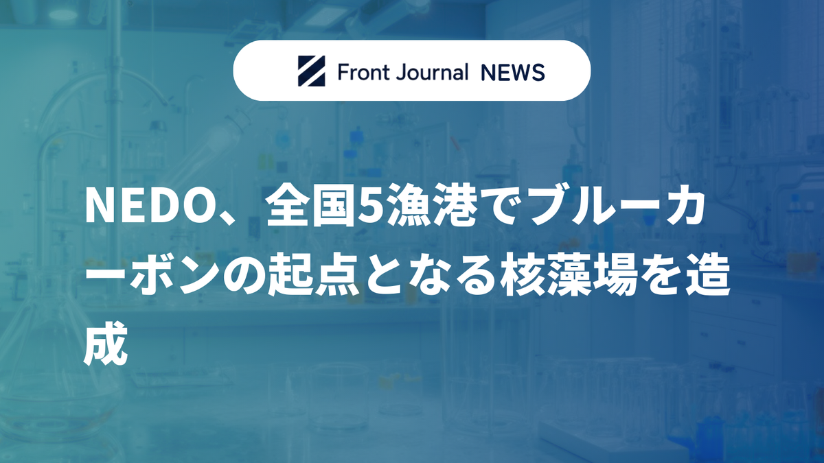 NEDO、全国5漁港でブルーカーボンの起点となる核藻場を造成