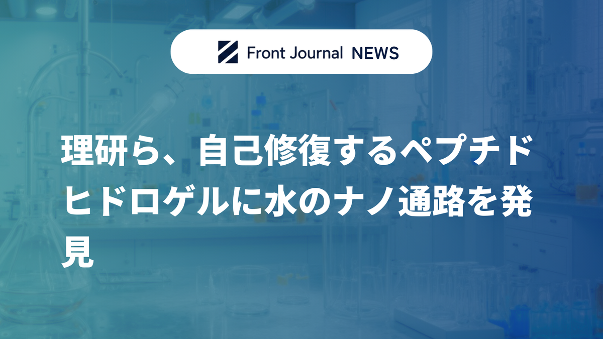 理研ら、自己修復するペプチドヒドロゲルに水のナノ通路を発見
