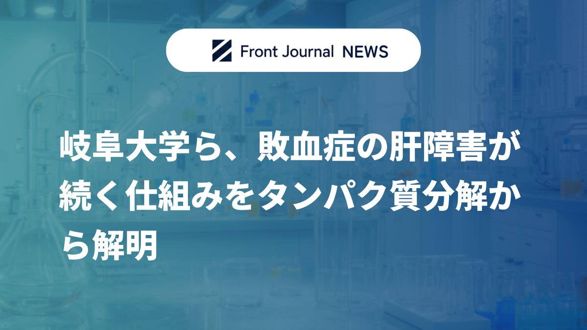 岐阜大学ら、敗血症の肝障害が続く仕組みをタンパク質分解から解明