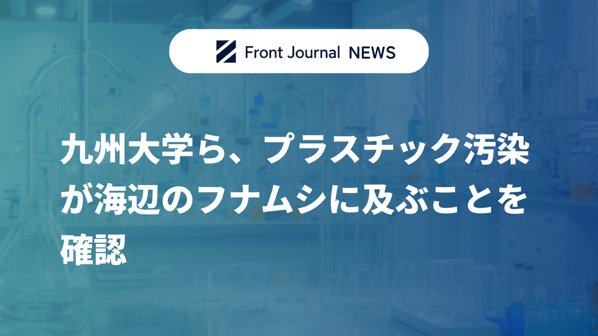 九州大学ら、プラスチック汚染が海辺のフナムシに及ぶことを確認