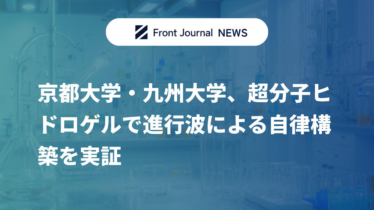 京都大学・九州大学、超分子ヒドロゲルで進行波による自律構築を実証