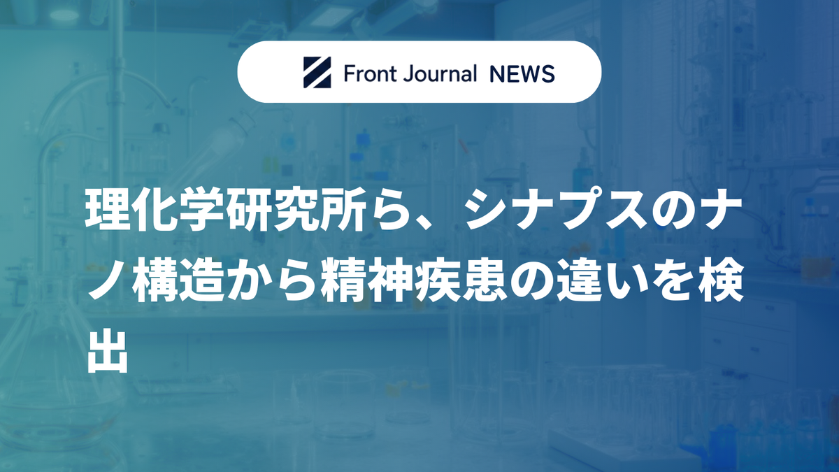 理化学研究所ら、シナプスのナノ構造から精神疾患の違いを検出