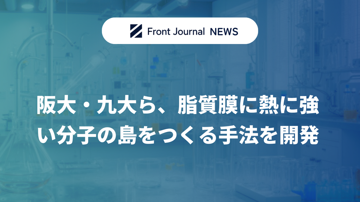 阪大・九大ら、脂質膜に熱に強い分子の島をつくる手法を開発