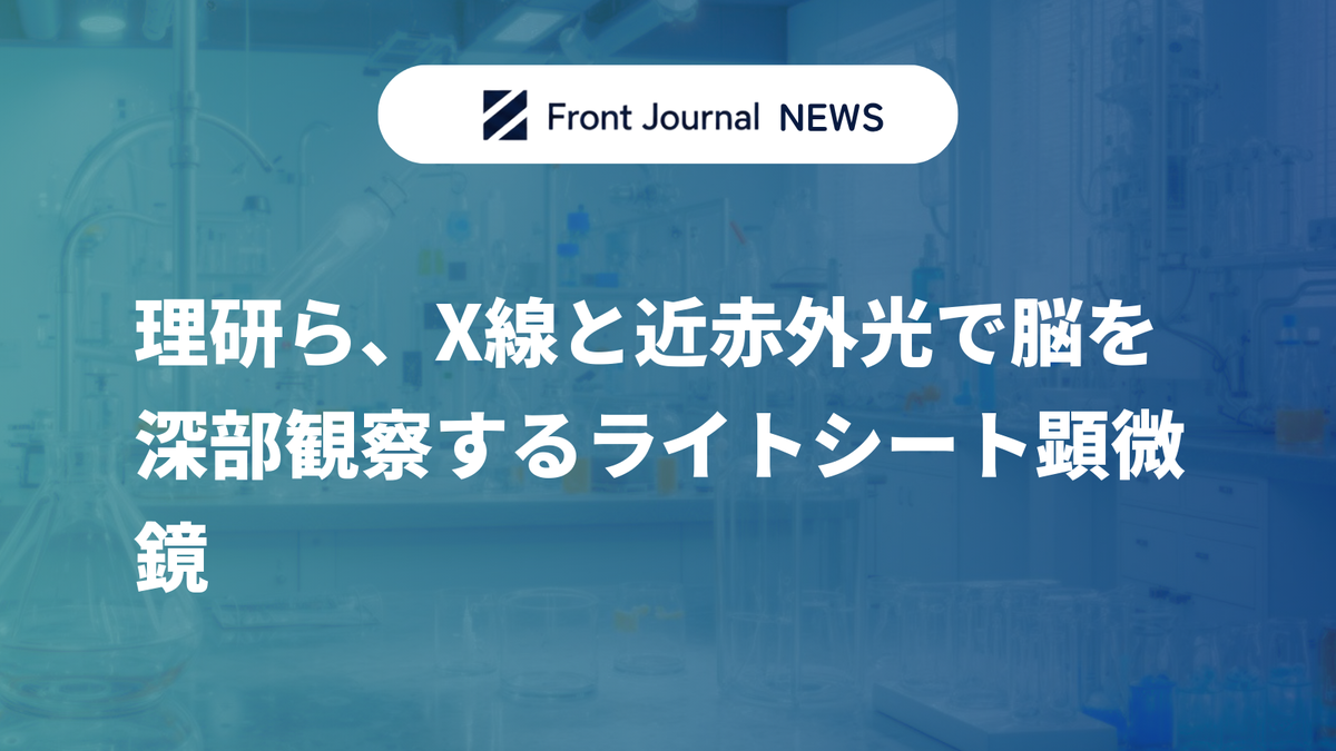 理研ら、X線と近赤外光で脳を深部観察するライトシート顕微鏡