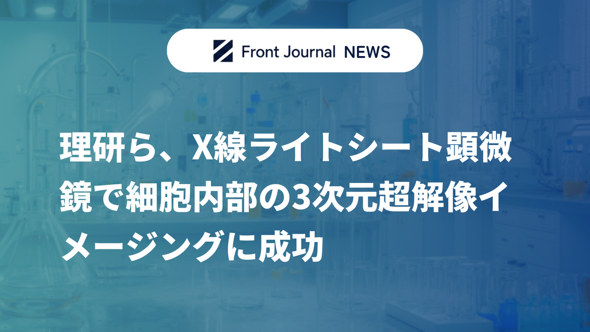 理研ら、X線ライトシート顕微鏡で細胞内部の3次元超解像イメージングに成功