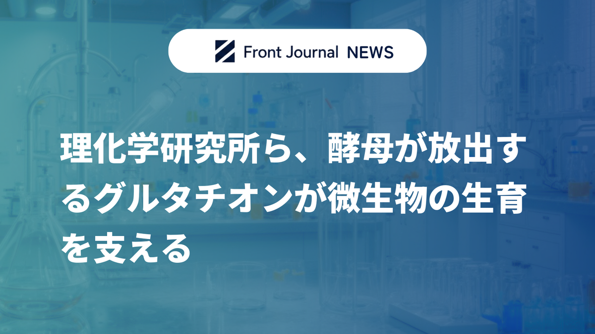 理化学研究所ら、酵母が放出するグルタチオンが微生物の生育を支える